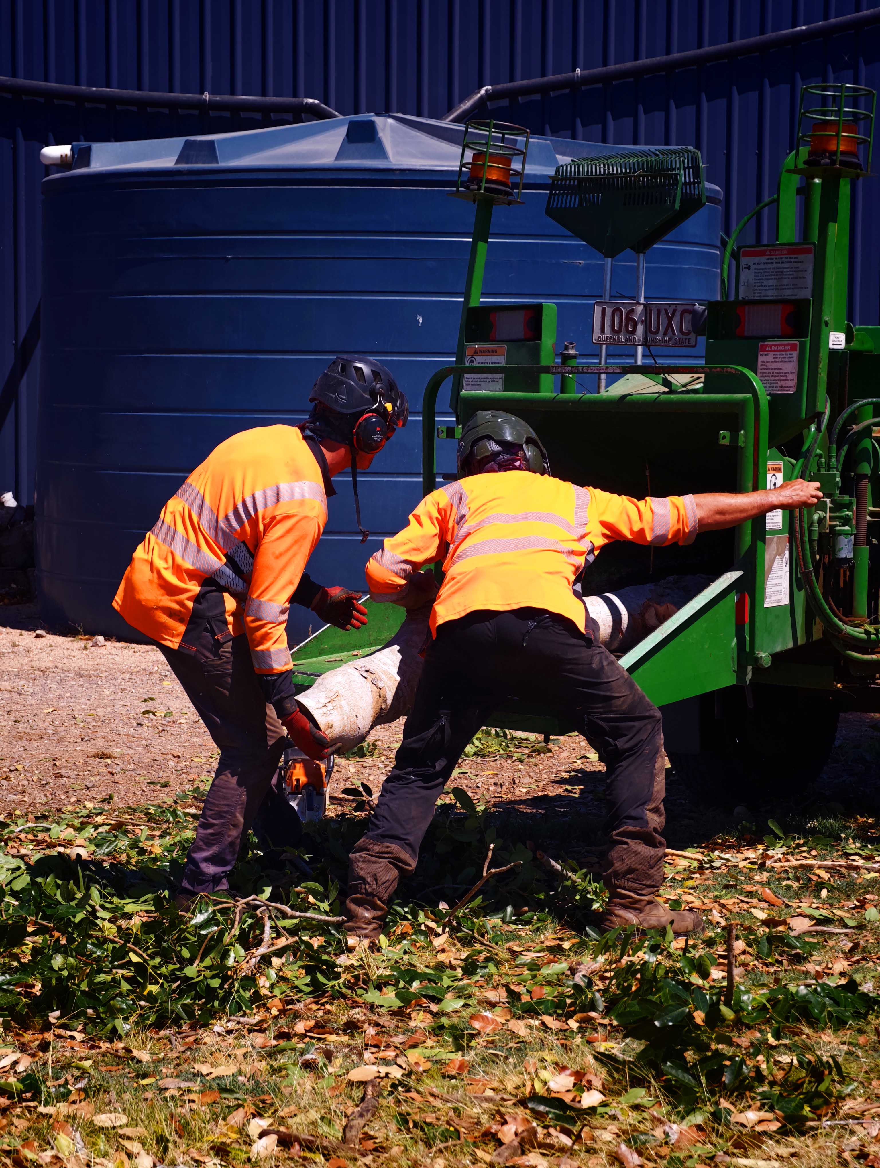 Qualified arborist working in Townsville