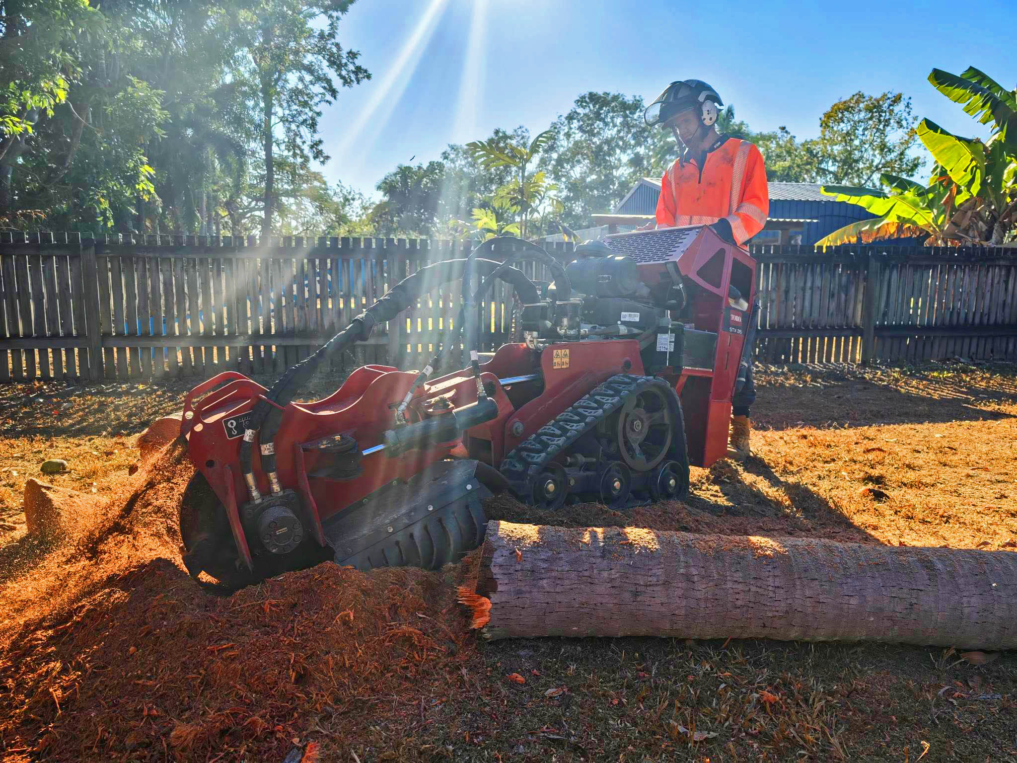 Stump grinding service in Townsville