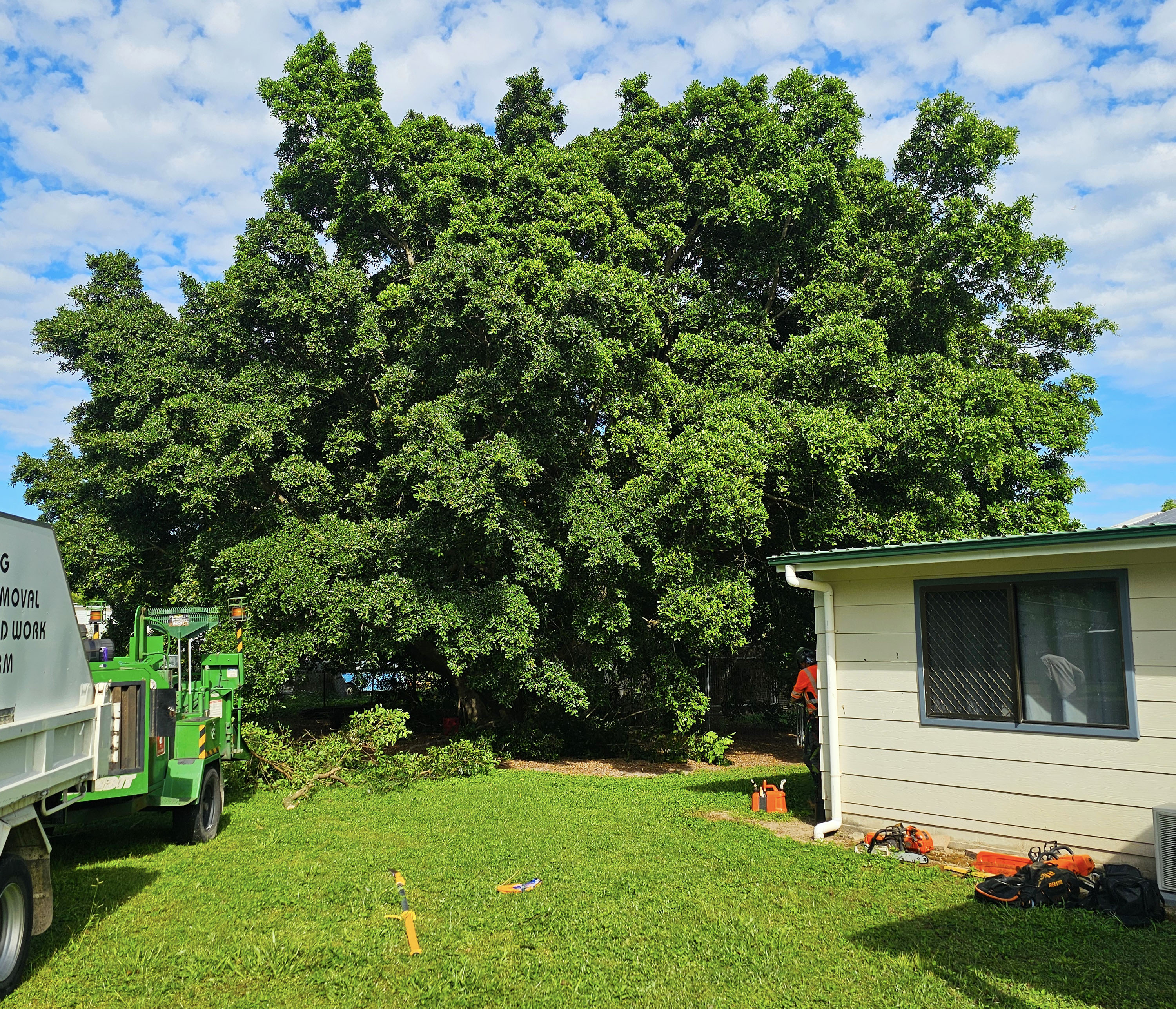 Completed stump grinding