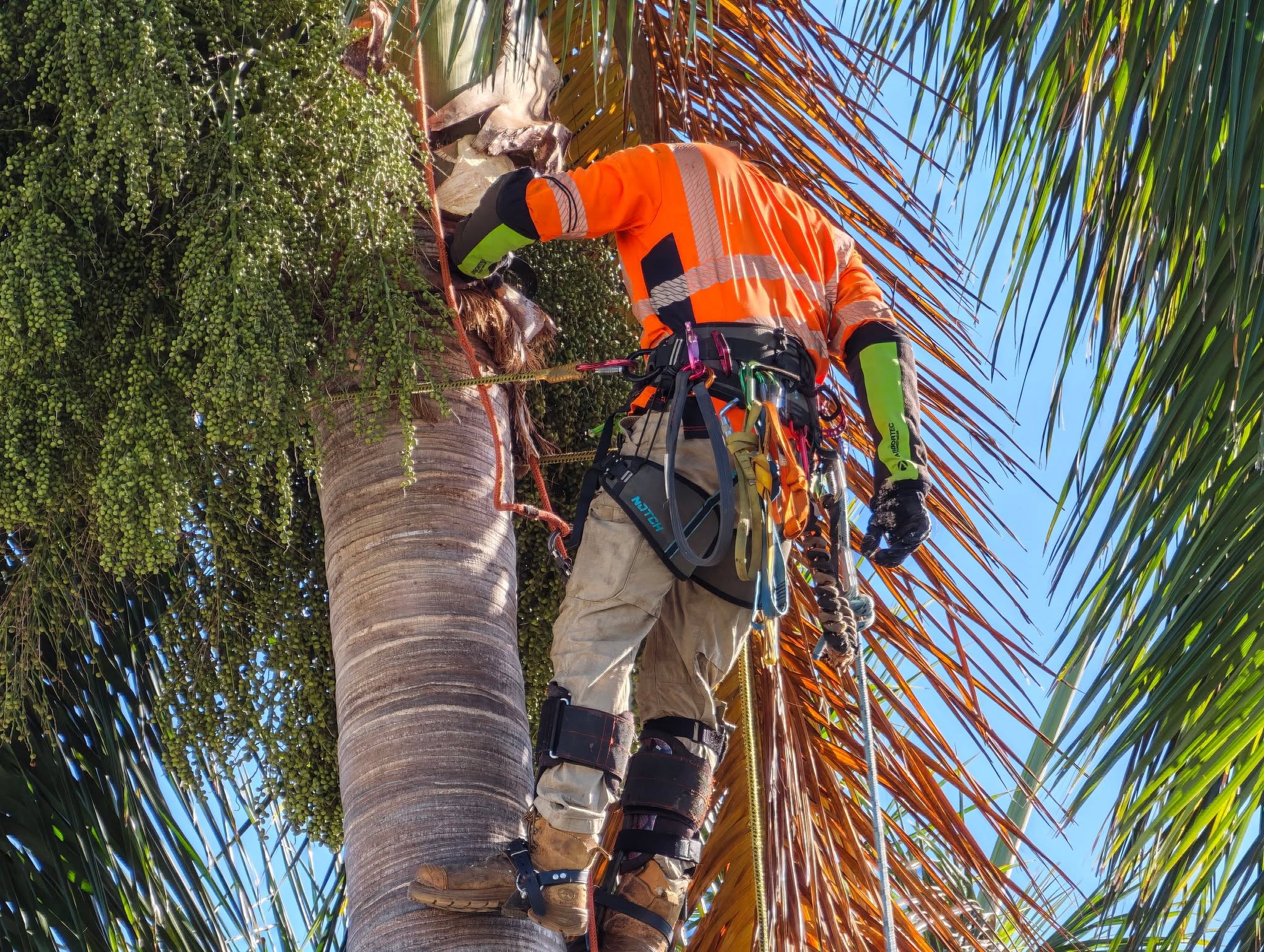 Technical tree rigging