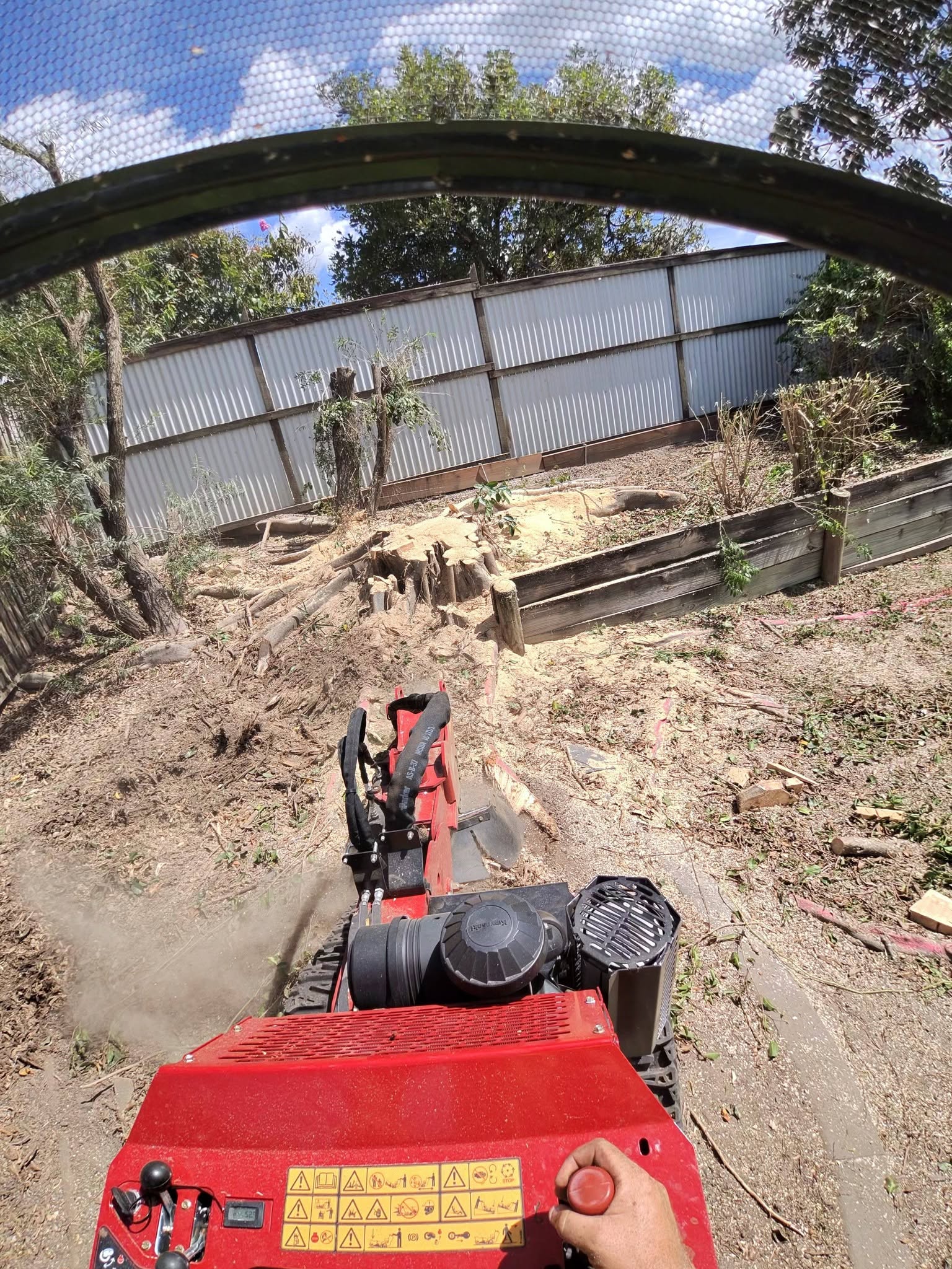 Completed tree removal