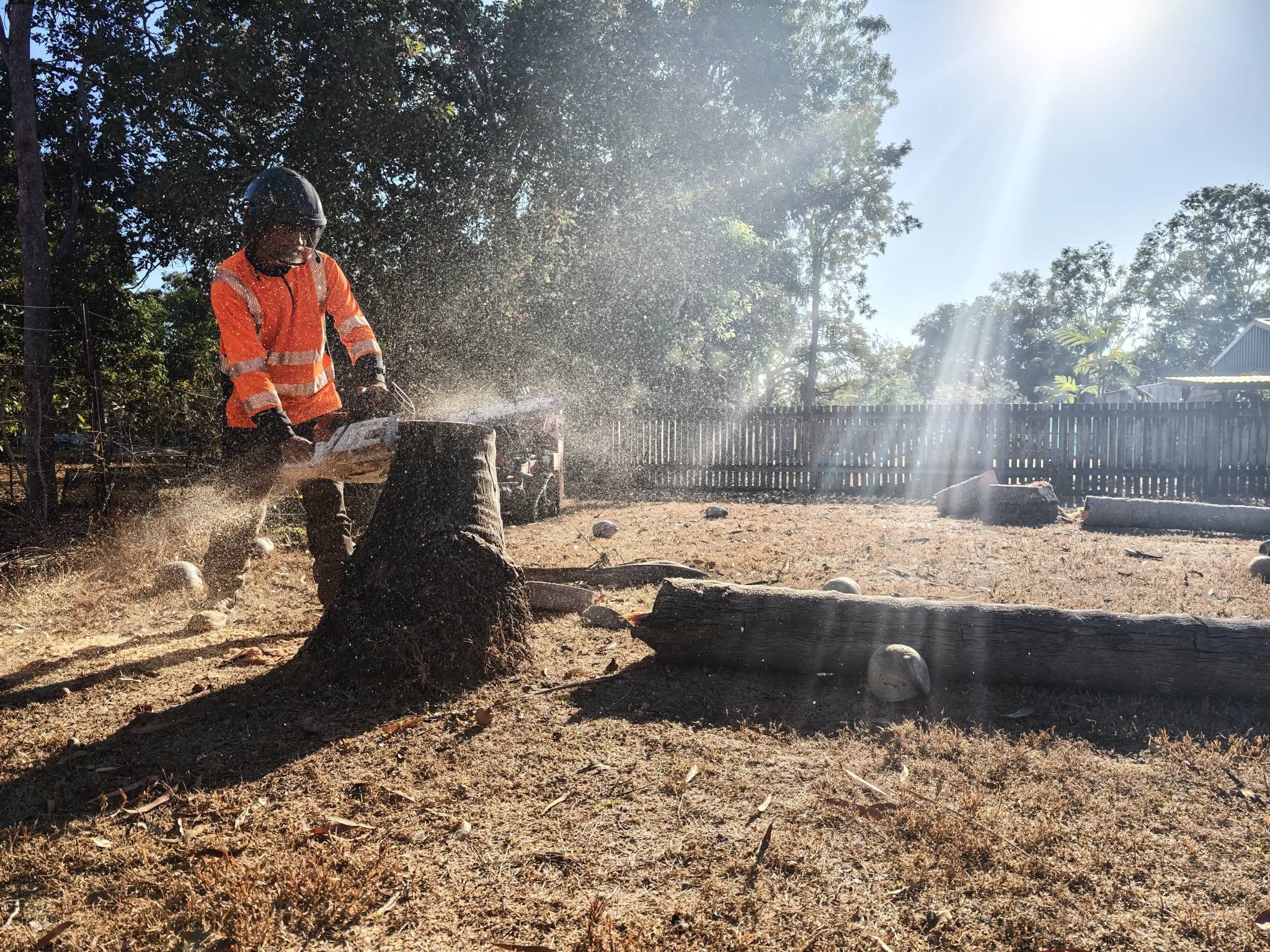 Tree lopping and trimming in Townsville