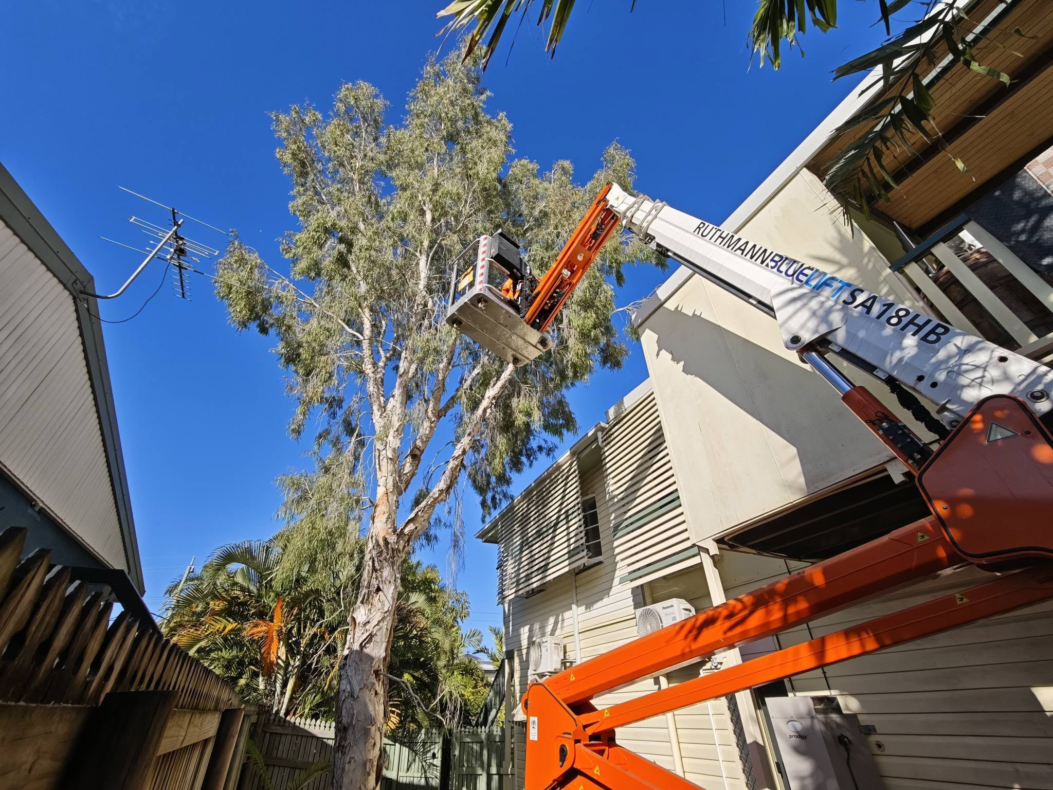 Wood chipping service in Townsville