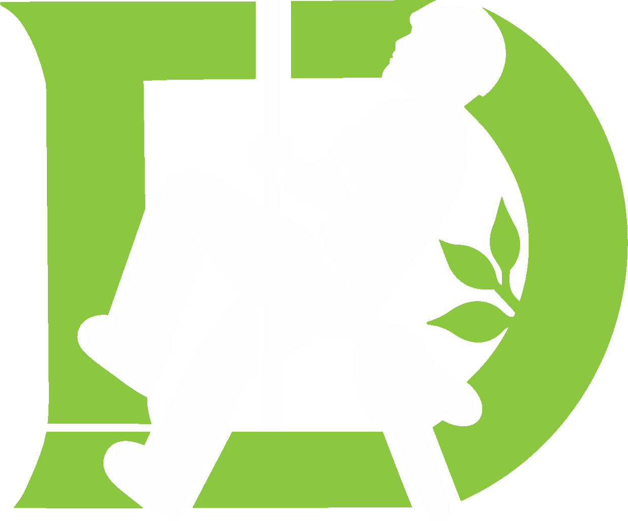 Tree Man Dan Townsville logo